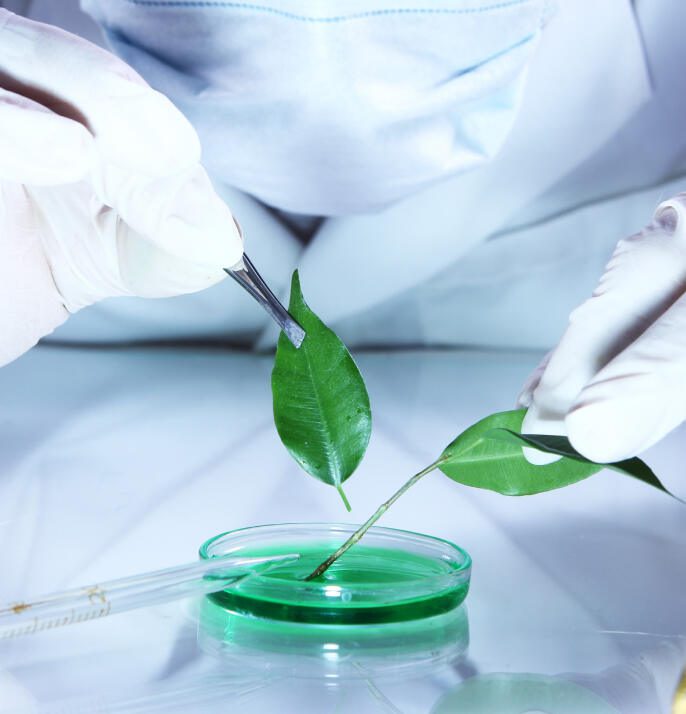 Green Chemicals & Bio-Products Green Chemicals & Bio-Products