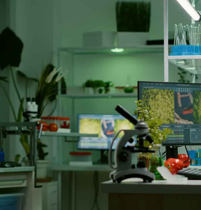 Biological Systems Modelling Biological Systems Modelling